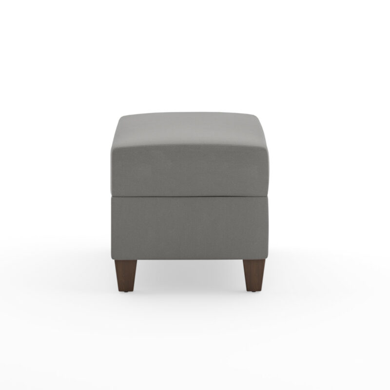 Dylan Ottoman