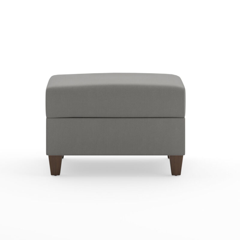 Dylan Ottoman