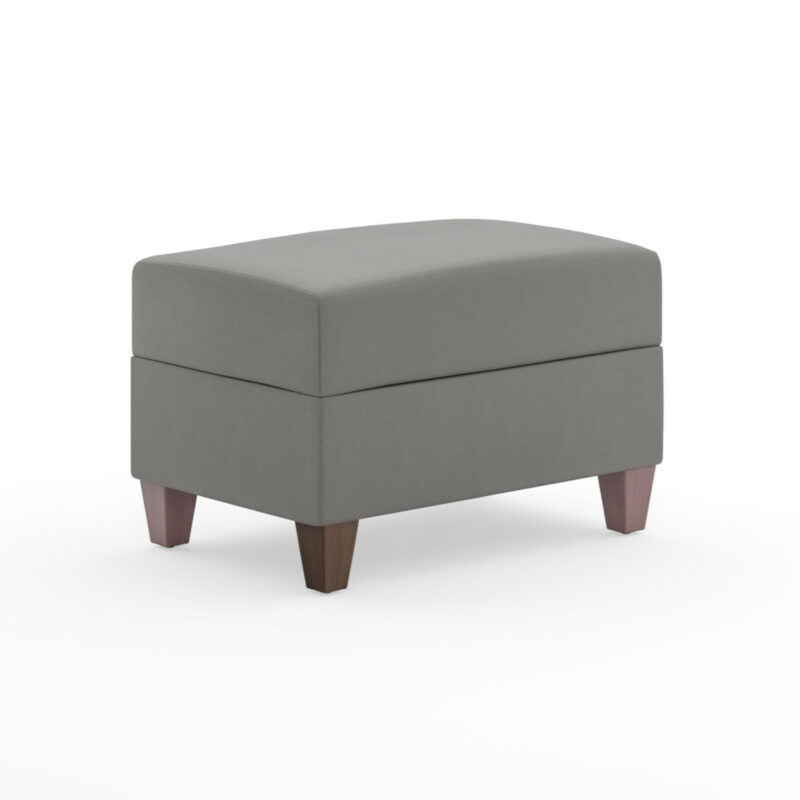 Dylan Armchair and Ottoman